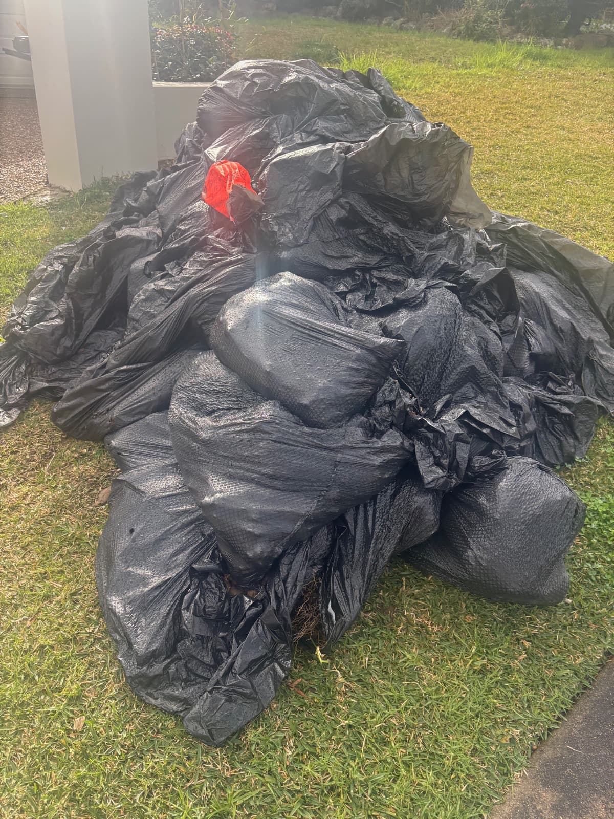 Pile of bagged garden waste on a front lawn
